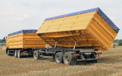 Услуги зерновозов для перевозки зерна - Устюжна, цены, предложения специалистов