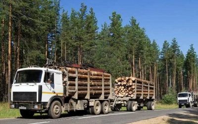Лесовозы для перевозки леса, аренда и услуги. - Никольск, заказать или взять в аренду