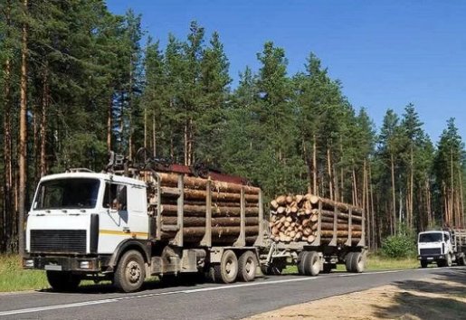 Лесовоз Лесовозы для перевозки леса, аренда и услуги. взять в аренду, заказать, цены, услуги - Никольск