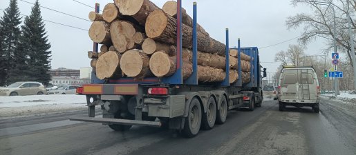 Поиск транспорта для перевозки леса, бревен и кругляка стоимость услуг и где заказать - Вологда